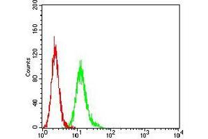 Flow Cytometry (FACS) image for anti-Spleen tyrosine Kinase (SYK) (AA 217-356) antibody (ABIN5542636)