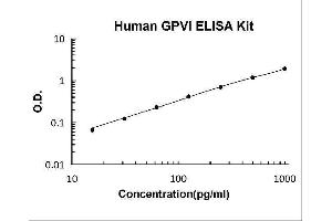 Glycoprotein VI (Platelet) (GP6) ELISA Kit
