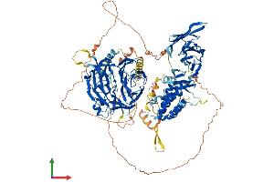 Protein Structure (PS) image for HIR Histone Cell Cycle Regulation Defective Homolog A (HIRA) (AA 1-1017) protein (His tag) (ABIN7554089)