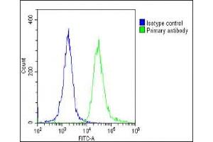 Overlay histogram showing HeLa cells stained with (ABIN6244022 and ABIN6578804)(green line). (TOMM40 Antikörper  (AA 22-56))