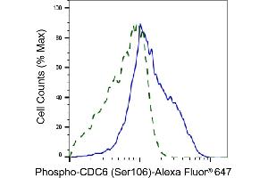 Validation of CDC6 knockdown using flow cytometry. (Rekombinanter CDC6 Antikörper  (pSer106))