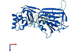 RPP40 Protein (AA 1-363) (His tag)