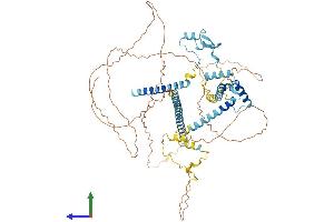 AlphaFold protein structure predicition of Human Recombinant CLASRP Protein, UniprotID Q8N2M8