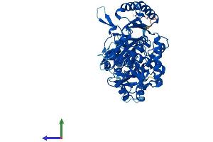Protein Structure (PS) image for FAD Synthetase (AA 1-492) protein (His tag) (ABIN7559651)