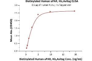 ELISA image for Plasminogen Activator, Urokinase Receptor (PLAUR) (AA 23-303) (Active) protein (His tag,AVI tag,Biotin) (ABIN6973301)