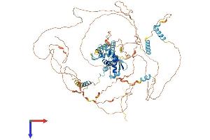 E2F8 Protein (AA 1-860) (His tag)