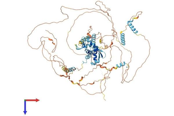 E2F8 Protein (AA 1-860) (His tag)