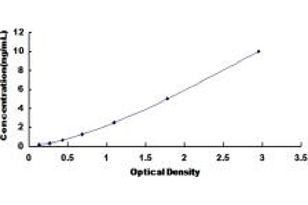 CCR10 ELISA Kit