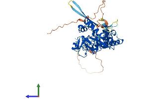 Protein Structure (PS) image for Testis Derived Transcript (3 LIM Domains) (TES) (AA 1-423) protein (His tag) (ABIN7563283)