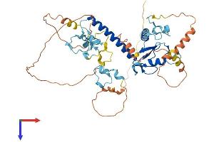 MKRN1 Protein (AA 1-482) (His tag)