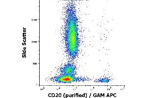 Flow cytometry surface staining pattern of human peripheral blood stained using anti-human CD20 (LT20) purified antibody (concentration in sample 10 μg/mL) GAM APC. (CD20 Antikörper)