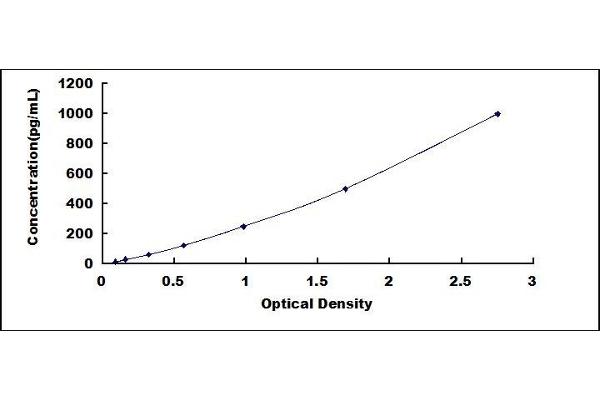 FGF9 ELISA Kit