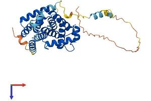 Cyclin G2 Protein (CCNG2) (AA 1-344) (His tag)