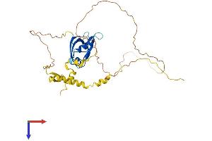 MAGI Family Member, X-Linked (MAGIX) (AA 1-334) protein (His tag)