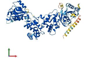 AlphaFold protein structure predicition of Human Recombinant RHOT2 Protein, UniprotID Q8IXI1