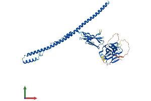 AlphaFold protein structure predicition of Mouse Recombinant Fsd1l Protein, UniprotID Q8BYN5
