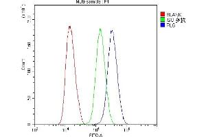 Flow Cytometry analysis of U251 cells using anti-Plasminogen antibody (ABIN6719276). (PLG Antikörper)