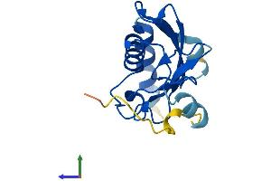 AlphaFold protein structure predicition of Human Recombinant UBE2W Protein, UniprotID Q96B02