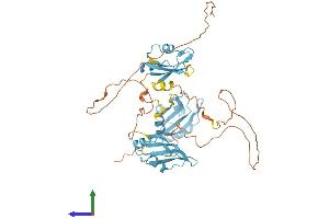 Protein Structure (PS) image for Heterogeneous Nuclear Ribonucleoprotein H2 (H') (HNRNPH2) (AA 1-449) protein (His tag) (ABIN7556700)