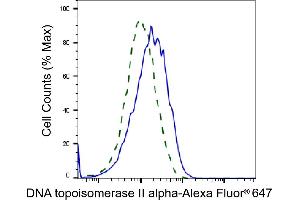 Validation of DNA topoisomerase II alpha knockdown using flow cytometry. (Rekombinanter Topoisomerase II alpha Antikörper)