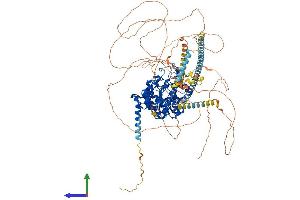 Protein Structure (PS) image for Histone Deacetylase 4 (HDAC4) (AA 1-1084) protein (His tag) (ABIN7554077)