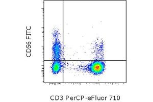 Flow Cytometry (FACS) image for anti-Neural Cell Adhesion Molecule 1 (NCAM1) antibody (FITC) (ABIN2144645) (CD56 Antikörper  (FITC))