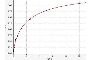 Typical standard curve (TNMD ELISA Kit)
