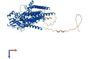 LMF2 Protein (AA 1-707) (His tag)