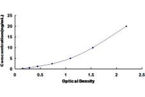 Typical standard curve (UBA52 ELISA Kit)