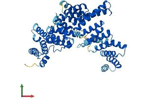 AlphaFold protein structure predicition of Human Recombinant IFIT5 Protein, UniprotID Q13325