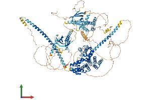 Protein Structure (PS) image for TBC1 Domain Family, Member 4 (TBC1D4) (AA 1-1298) protein (His tag) (ABIN7555704)