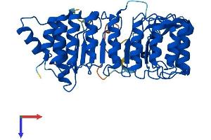AlphaFold protein structure predicition of Mouse Recombinant Lrrc34 Protein, UniprotID Q9DAM1