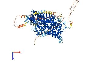 GLYT1 Protein (AA 1-706) (His tag)