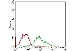 Flow cytometric analysis of MCF-7 cells using DDIT3 mouse mAb (green) and negative control (red).