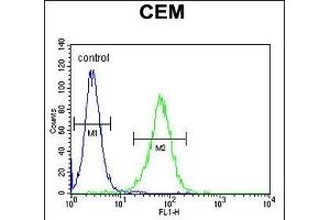 NXPH4 Antibody (C-term) (ABIN655131 and ABIN2844758) flow cytometric analysis of CEM cells (right histogram) compared to a negative control cell (left histogram). (Neurexophilin 4 Antikörper  (C-Term))