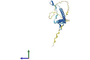 Protein Structure (PS) image for Folliculogenesis Specific Basic Helix-Loop-Helix (FIGLA) (AA 1-194) protein (His tag) (ABIN7562497)