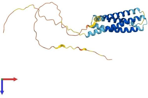 MS4A15 Protein (AA 1-240) (His tag)