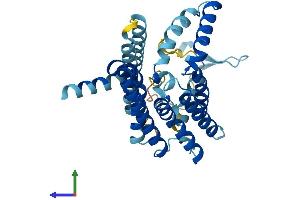 Protein Structure (PS) image for Peroxisomal Biogenesis Factor 16 (PEX16) (AA 1-336) protein (His tag) (ABIN7560082)