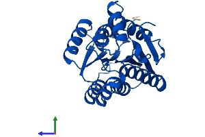 Protein Structure (PS) image for Sepiapterin Reductase (SPR) (AA 1-261) protein (His tag) (ABIN7557809)