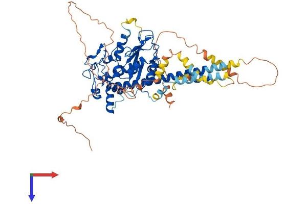HS6ST2 Protein (AA 1-605) (His tag)