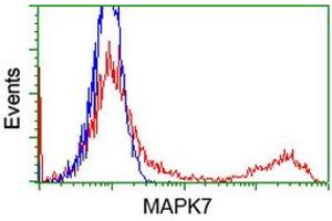 HEK293T cells transfected with either RC203506 overexpress plasmid (Red) or empty vector control plasmid (Blue) were immunostained by anti-MAPK7 antibody (ABIN2454021), and then analyzed by flow cytometry. (MAPK7 Antikörper)