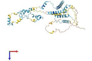 ZC3H15 Protein (AA 1-426) (His tag)
