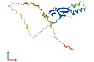 Protein Structure (PS) image for Lipopolysaccharide-Induced Tumor Necrosis Factor-alpha Factor (LITAF) (AA 1-161) protein (His tag) (ABIN7561677)