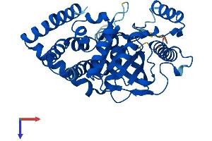 AGPAT5 Protein (AA 1-365) (His tag)