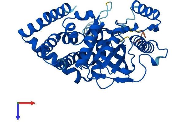 AGPAT5 Protein (AA 1-365) (His tag)