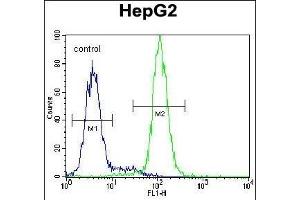 CST9 Antibody (C-term) (ABIN655011 and ABIN2844645) flow cytometric analysis of HepG2 cells (right histogram) compared to a negative control cell (left histogram). (CST9 Antikörper  (C-Term))