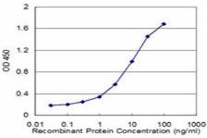 Detection limit for recombinant GST tagged GRM5 is approximately 0.