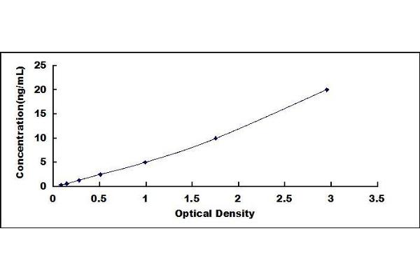 APLP1 ELISA Kit