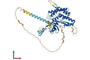 Protein Structure (PS) image for Phosphatidylinositol 4-Kinase Type 2 alpha (PI4K2A) (AA 1-479) protein (His tag) (ABIN7554831)