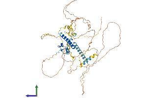Protein Structure (PS) image for Doublesex and Mab-3 Related Transcription Factor 2 (DMRT2) (AA 1-561) protein (His tag) (ABIN7564330)